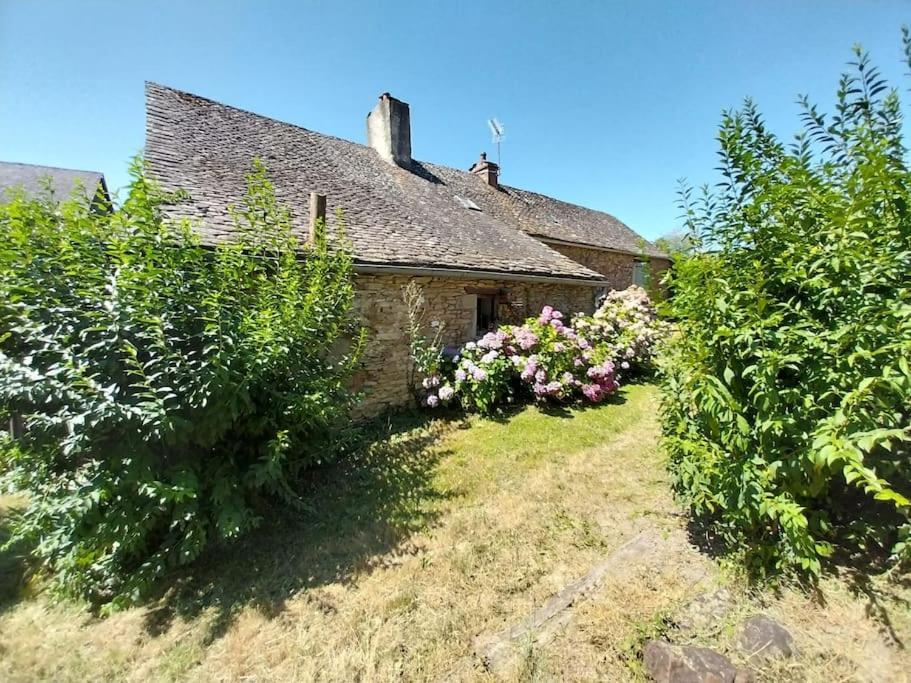 Maison En Pierres Pradinas Esterno foto